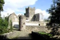 Tintern Abbey, New Ross 