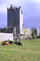 Aughnanure Castle, Oughterard   