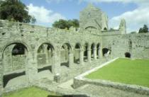 Boyle Abbey, Boyle 