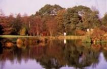 The John F. Kennedy Arboretum, New Ross 