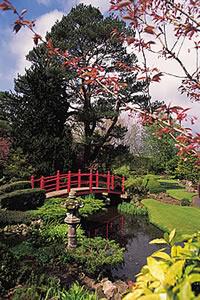 The Irish National Stud, Japanese & St. Fiachra Gardens, Tully 